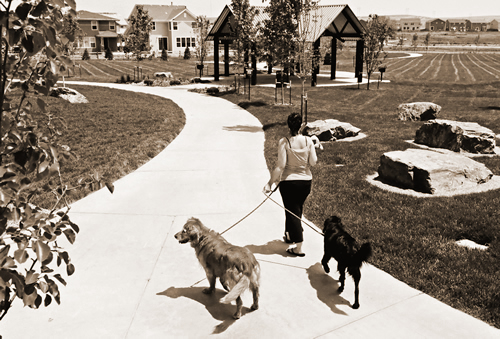 woman walking her dogs
